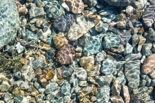 pacific ocean bottom rocks 이미지 (490368910) - 게티이미지뱅크 pacific ocean bottom rocks