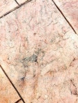 Cement floor texture 이미지 (533520129) - 게티이미지뱅크 Cement floor texture