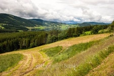 Beautiful rural landscape, field, forest, lake, small houses, Norway 이미지 (492427382) - 게티이미지뱅크 Beautiful rural... 