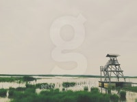 Bird Watchtower 이미지 (502543740) - 게티이미지뱅크 Bird Watchtower