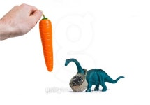 On A String 이미지 (467187296) - 게티이미지뱅크 On A String