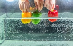 Bell pepper agreed to in the water. 이미지 (471746150) - 게티이미지뱅크 Bell pepper agreed to in the water.