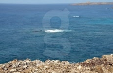 On the cliff of an islet 이미지 (483511638) - 게티이미지뱅크 On the cliff of an islet