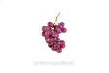 Bunch of ripe and juicy red grapes 이미지 (485893422) - 게티이미지뱅크 Bunch of ripe and juicy red grapes