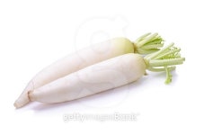 Daikon radishes isolated on white background 이미지 (491947212) - 게티이미지뱅크 Daikon radishes isolated on white background