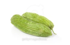 Bitter gourd isolated on white background 이미지 (471436166) - 게티이미지뱅크 Bitter gourd isolated on white background