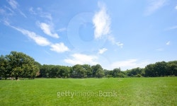 Central park at sunny day 이미지 (488499290) - 게티이미지뱅크 Central park at sunny day