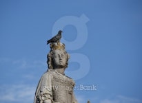 Statue of Queen Anne London 이미지 (484692140) - 게티이미지뱅크 Statue of Queen Anne London