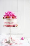 Strawberry cake 이미지 (479693024) - 게티이미지뱅크 Strawberry cake
