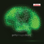 Neon brain. Vector illustration. Eps 10 이미지 (470882950) - 게티이미지뱅크 Neon brain. Vector illustration. Eps 10
