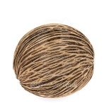 Cerbera dry fruit on white background 이미지 (504110120) - 게티이미지뱅크 Cerbera dry fruit on white background
