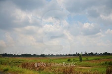 Sky and Cloud with Ricefield 이미지 (475854248) - 게티이미지뱅크 Sky and Cloud with Ricefield