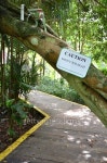 Caution sign of mind your head in the garden 이미지 (466086518) - 게티이미지뱅크 Caution sign of mind your head in the garden