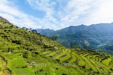 Annapurna Mountain Range, Nepal 이미지 (475193192) - 게티이미지뱅크 Annapurna Mountain Range, Nepal