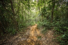 Life is Journey 이미지 (464756848) - 게티이미지뱅크 Life is Journey