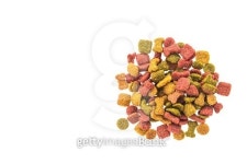 Colorful dog bones food 이미지 (478865066) - 게티이미지뱅크 Colorful dog bones food