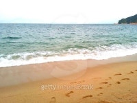 Footprints on the beach 이미지 (500227686) - 게티이미지뱅크 Footprints on the beach
