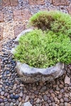 정원예술학교 디자인드바이(designed by) 피사로의 시간 | garden design 이미지 (487555018) - 게티이미지뱅크 garden design