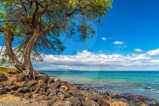 Kihei Coastline 이미지 (484124434) - 게티이미지뱅크 Kihei Coastline