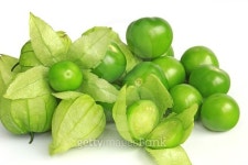 Tomatillo or Mexican husk tomato 이미지 (498339934) - 게티이미지뱅크 Tomatillo or Mexican husk tomato