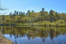 Spring river. 이미지 (479316638) - 게티이미지뱅크 Spring river.