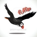 puffin bird 이미지 (496981838) - 게티이미지뱅크 puffin bird