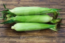 corn on the cob 이미지 (485388122) - 게티이미지뱅크 corn on the cob