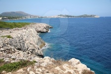 plage de Mallorca 이미지 (491541096) - 게티이미지뱅크 plage de Mallorca