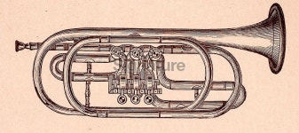 Trumpet music instruments 이미지 (481308138) - 게티이미지뱅크 Trumpet music instruments
