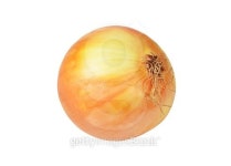 Onion 이미지 (487608590) - 게티이미지뱅크 Onion