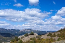 landscape with yellow and green trees against mountains and the 이미지 (467299636) - 게티이미지뱅크 landscape with yellow... 