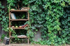 Old retro things in shelves on the nature background 이미지 (496243338) - 게티이미지뱅크 Old retro things in shelves on the... 
