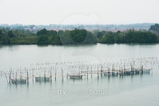 Fishery farm 이미지 (471508104) - 게티이미지뱅크 Fishery farm