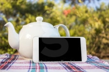 Tea on the garden 이미지 (497538100) - 게티이미지뱅크 Tea on the garden