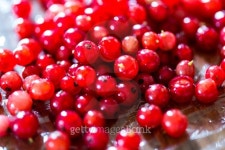 Redcurrants on table 이미지 (480446764) - 게티이미지뱅크 Redcurrants on table