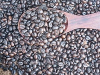 Roasted Coffee Beans in wooden spoon on coffee heap 이미지... 게티이미지뱅크 Roasted Coffee Beans in wooden spoon on coffee heap