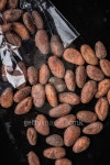 Cocoa roasted beans 이미지 (493580844) - 게티이미지뱅크 Cocoa roasted beans