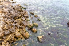 Black Sea, Bulgaria 이미지 (470933208) - 게티이미지뱅크 Black Sea, Bulgaria