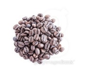 피 아이 엘(PIL)로스터리 | Roasted coffee beans pile from top on white background 이미지 (498014548) - 게티이미지뱅크 Roasted coffee beans pile from top...