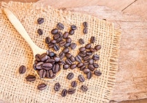 Roasted coffee beans in a wooden spoonl 이미지 (499366016) - 게티이미지뱅크 Roasted coffee beans in a wooden spoonl
