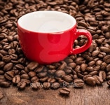 Empty red cup on top of dark roasted coffee beans 이미지... 게티이미지뱅크 Empty red cup on top of dark roasted coffee beans