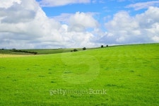 Green field and blue sky with cloud background 이미지 (488671618) - 게티이미지뱅크 Green field and blue sky with cloud background