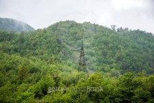 Georgia 이미지 (477057730) - 게티이미지뱅크 Georgia