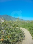 Sand Road at Tayrona National Park in Colombia 이미지 (487229730) - 게티이미지뱅크 Sand Road at Tayrona National Park in Colombia