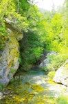 Small Mountain Pond 이미지 (485164812) - 게티이미지뱅크 Small Mountain Pond