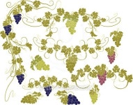 Vector design elements in vintage style with vines. 이미지 (484449872) - 게티이미지뱅크 Vector design elements in vintage... 