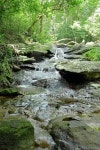 creek flowing over the rocks 이미지 (497829970) - 게티이미지뱅크 creek flowing over the rocks