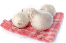 Fresh white onions on a towel 이미지 (484616406) - 게티이미지뱅크 Fresh white onions on a towel
