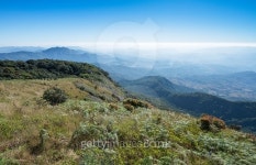 Kew Mae Pan Nature trail,Doi Inthanon 이미지 (502102128) - 게티이미지뱅크 Kew Mae Pan Nature trail,Doi Inthanon