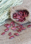 red beans in small sack 이미지 (476805814) - 게티이미지뱅크 red beans in small sack